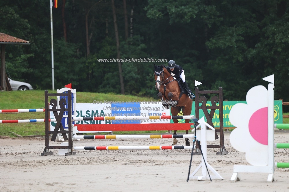 Preview nelly lauff mit celentano hs IMG_0105.jpg